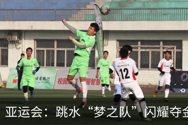 亚运会：跳水“梦之队”闪耀夺金时刻