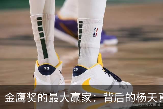 金鹰奖的最大赢家：背后的杨天真与她的娱乐帝国